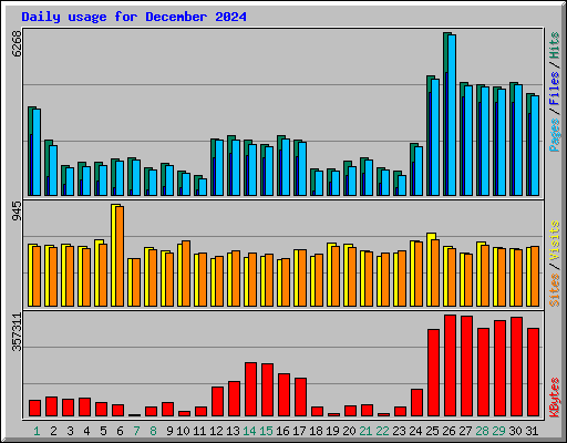 Daily usage for December 2024