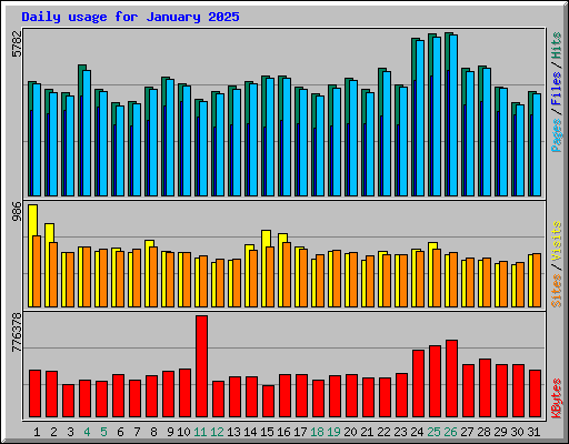 Daily usage for January 2025