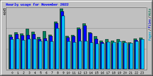 Hourly usage for November 2022