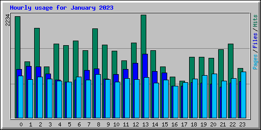 Hourly usage for January 2023