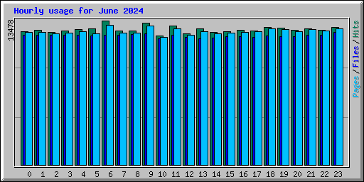 Hourly usage for June 2024