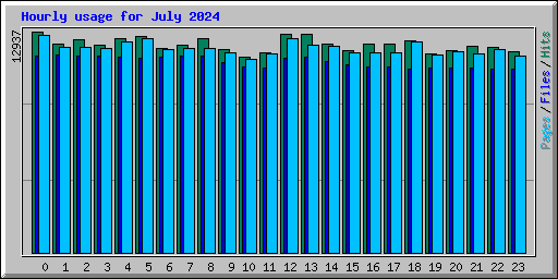 Hourly usage for July 2024