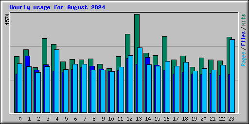 Hourly usage for August 2024