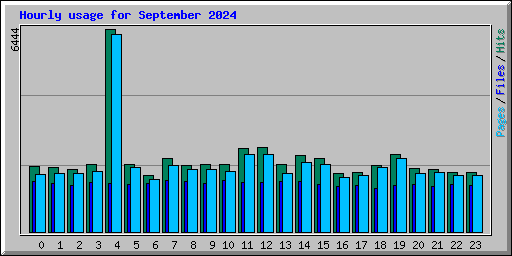 Hourly usage for September 2024