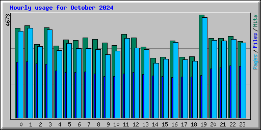 Hourly usage for October 2024