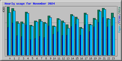 Hourly usage for November 2024