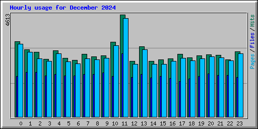 Hourly usage for December 2024