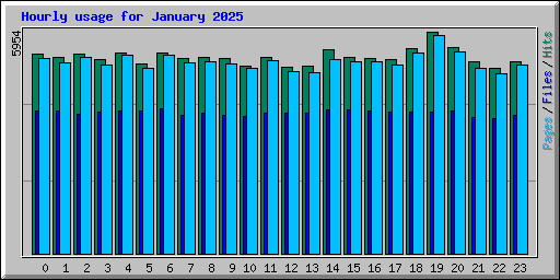 Hourly usage for January 2025