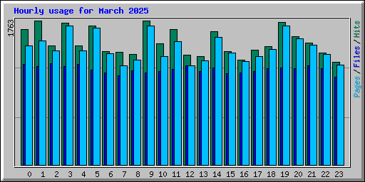 Hourly usage for March 2025