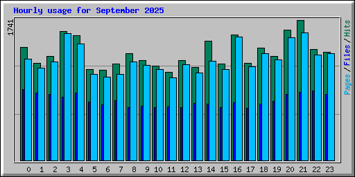 Hourly usage for September 2025