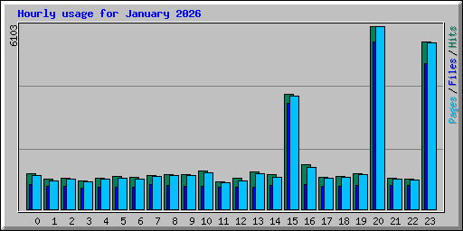 Hourly usage for January 2026