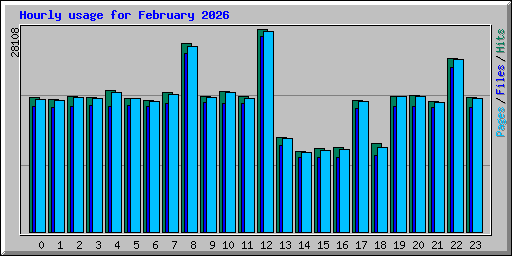 Hourly usage for February 2026