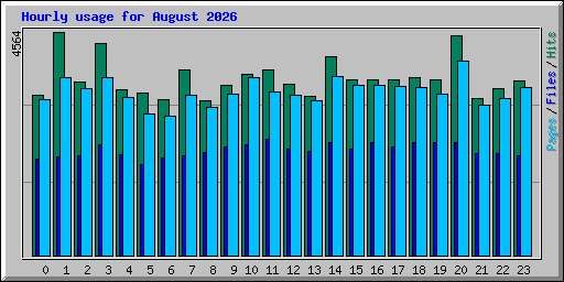 Hourly usage for August 2026